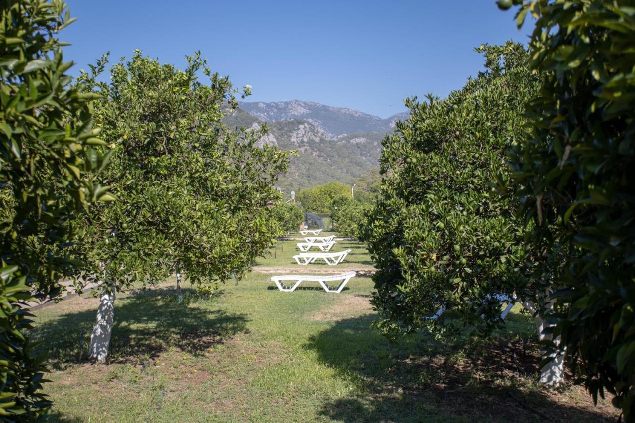 Ugur Pansiyon Bungalows Cirali Exterior photo