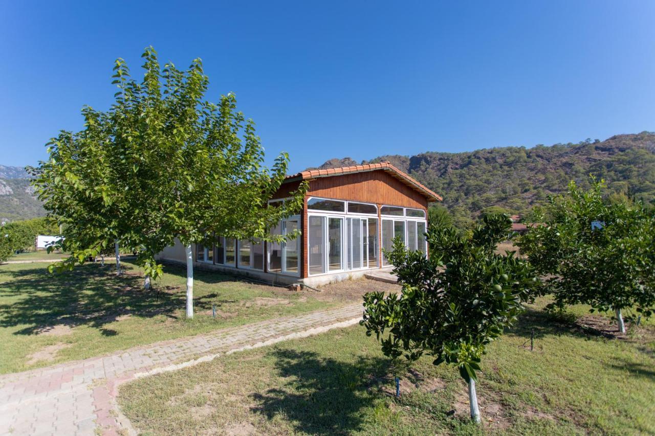 Ugur Pansiyon Bungalows Cirali Exterior photo