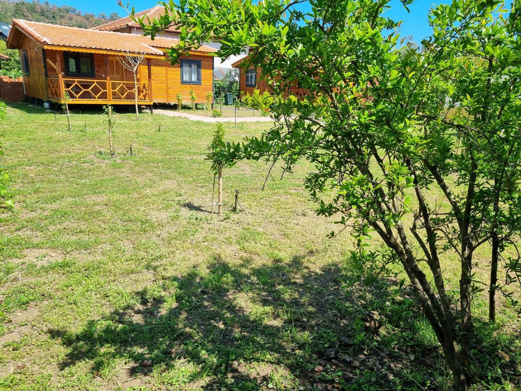 Ugur Pansiyon Bungalows Cirali Exterior photo